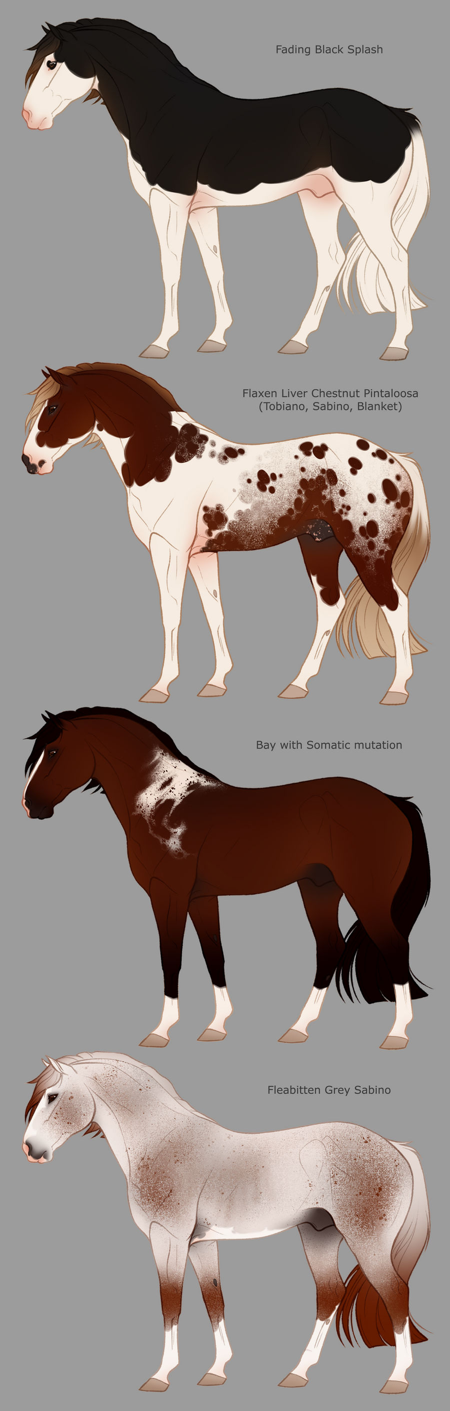 Stock breed Adopts CLOSED by sealle on DeviantArt