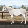 KhC Seaborns Sirren