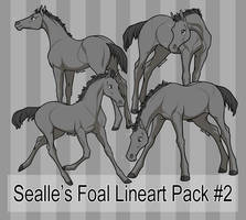 Sealle's Foal Lineart Pack #2