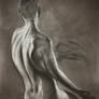 looking for new lines...70x100cm charcoal/pigments