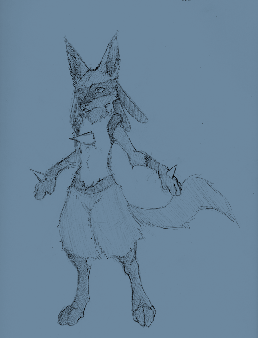 Whos that pokemon:lucario