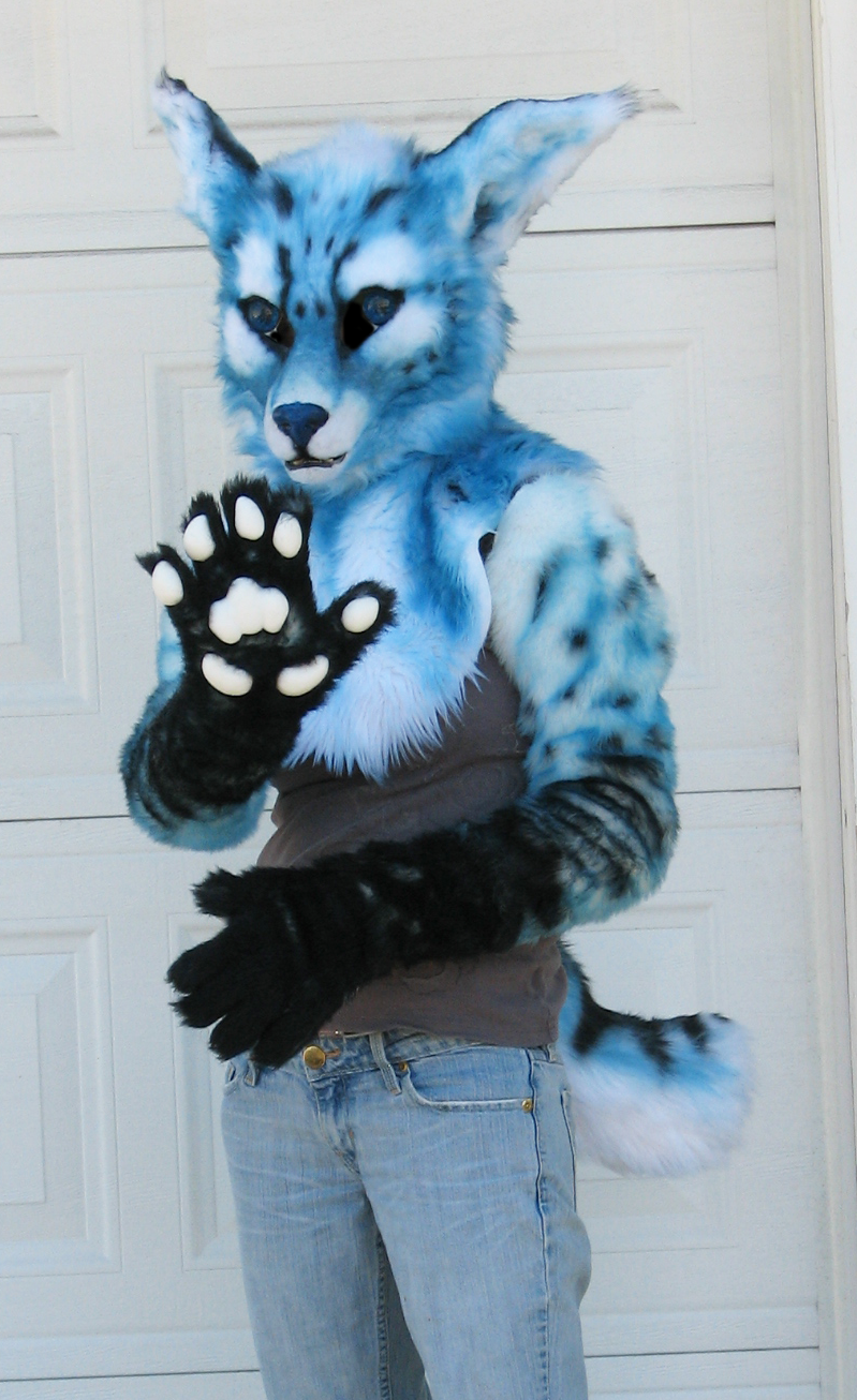 Furry cat costume outlet