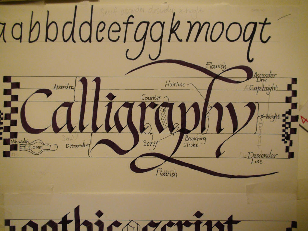 Calligraphy - Speedball Textbook