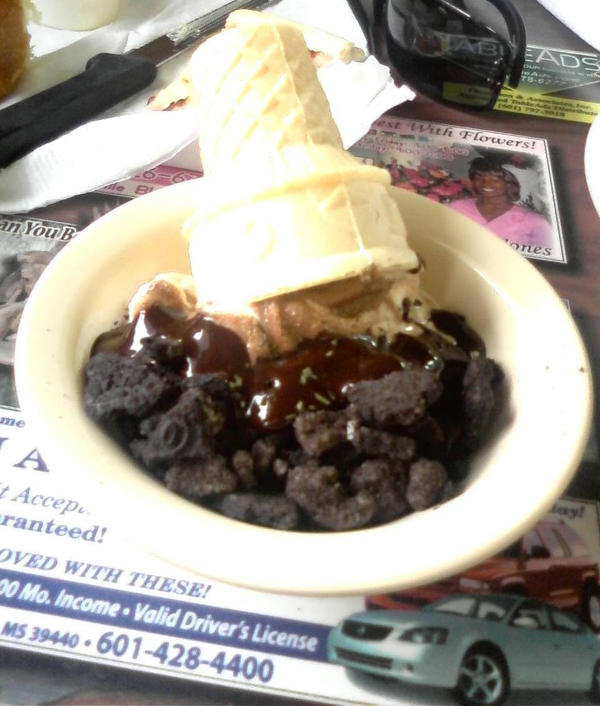 I dropped my ice cream in mud by SwordFire19 on DeviantArt