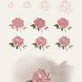 Flower Tutorial - Peony