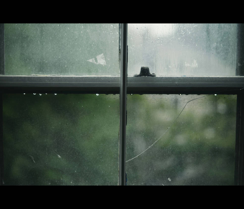 Rain, Rain by TheFoxAndTheRaven