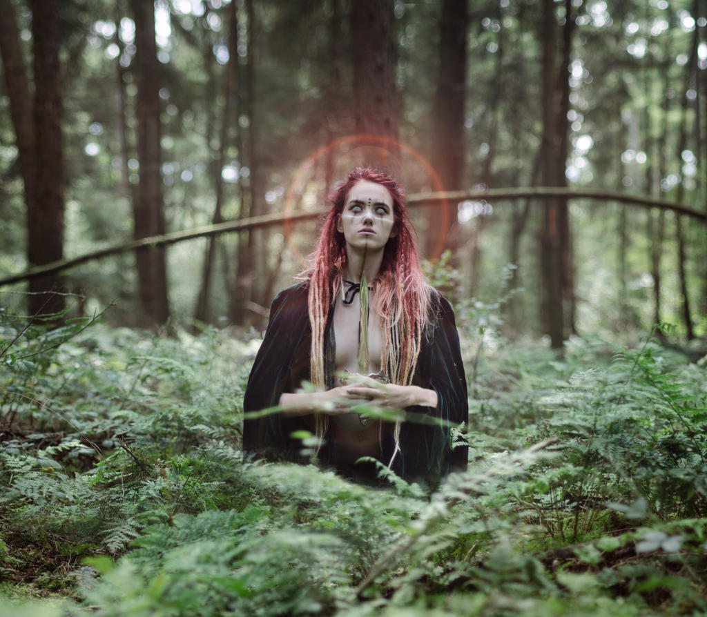 the high priestess by thefoxandtheraven on deviantart the high priestess by thefoxandtheraven on deviantart
