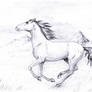 Horse 2