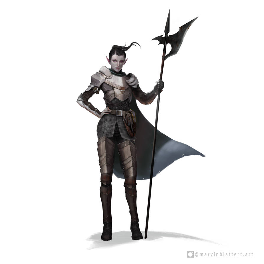 Drow warrior by marvinblattert on DeviantArt