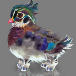 ADOPT AUCTION [OPEN] - fluffy woodduck