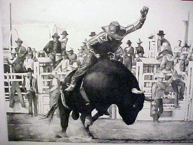 Rodeo Bull Rider by candidaartstudio on DeviantArt