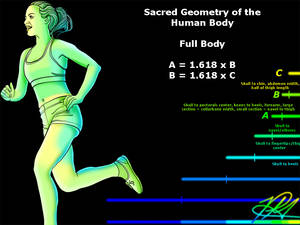 Sacred Geometry of the Human Body 3