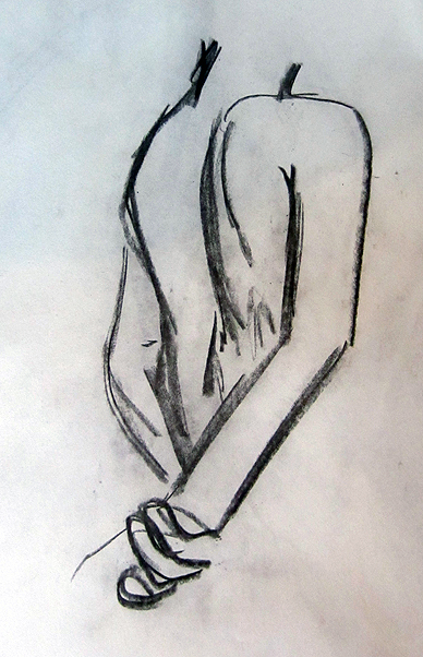 Charcoal Anatomy 11