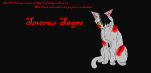 Severus Snape (cat) 2