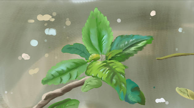 Foliage Study