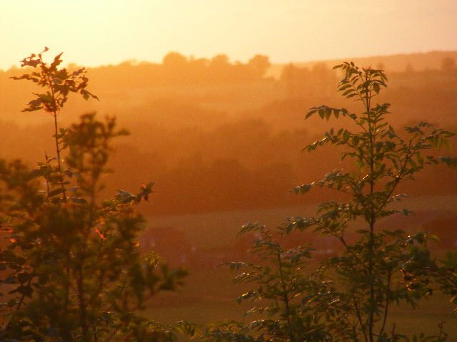 Shire sunset