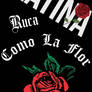 Latina Ruca Como la Flor Con Tanto Amor Chingona