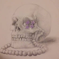 Feminie Skull Drawing