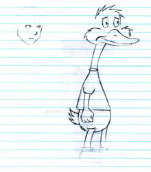 Duck