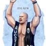 WWE Stone Cold Steve Austin