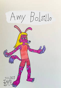 Amy Bolsillo