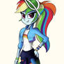 Human Dashie