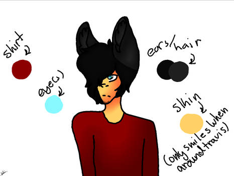 Salem Ref Sheet