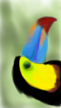 toucan on iPhone 