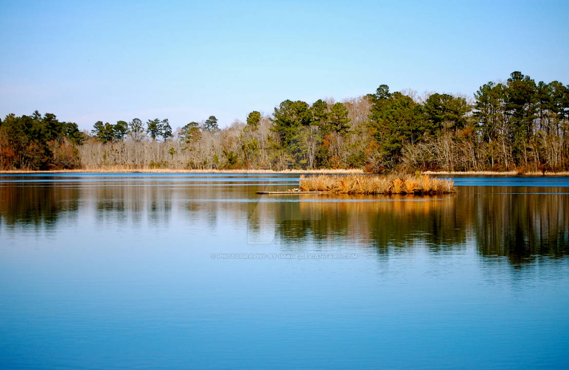MARION LAKE, SOUTH CAROLINA by PhotographybyImage on DeviantArt