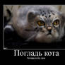 Manul