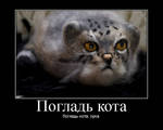 Manul