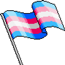 Pixel Trans Flag by codejackup on DeviantArt