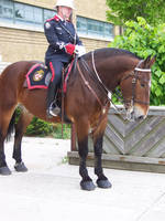 Mounted Police