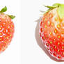 Strawberry Fruit Reference