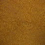 Gold Bead Halo Circle Texture