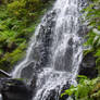 Waterfall Rocks n Leaves Stock