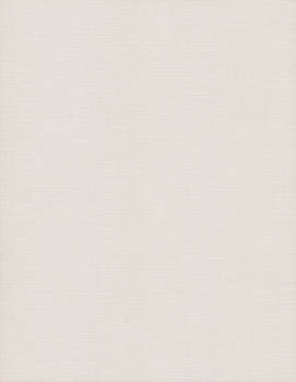 Canvas Texture White Paper