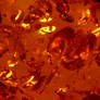 Amber Gem Copal Resin Texture