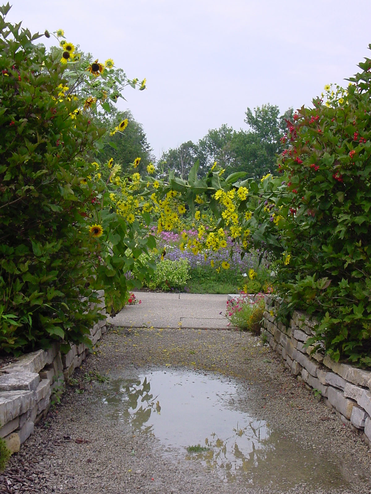 Flower Garden Gate Stock