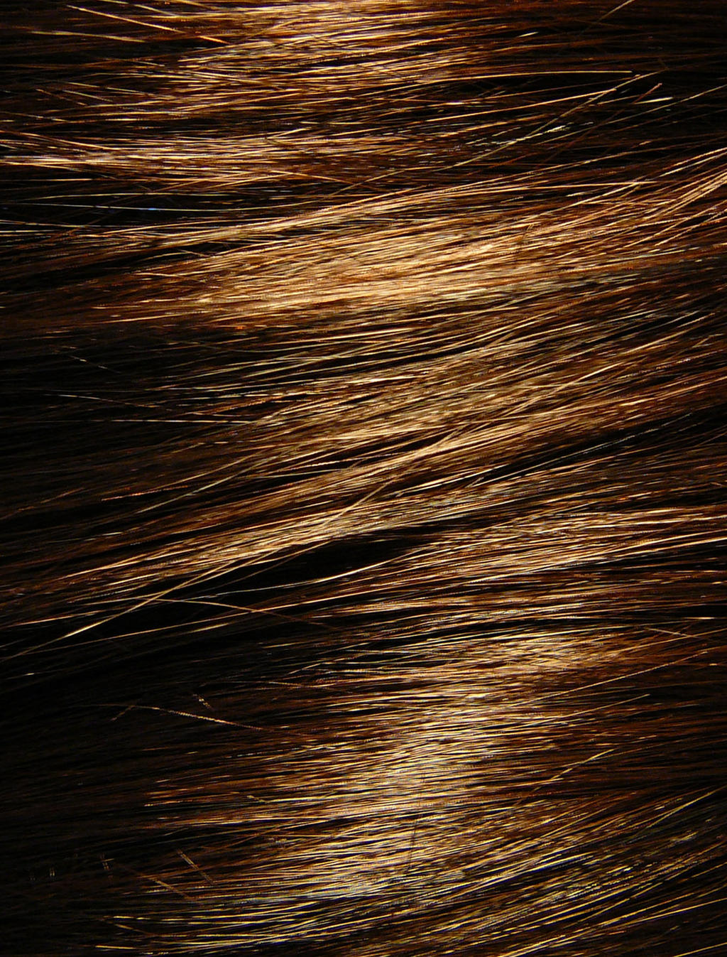 Brown Hair Texture Stock