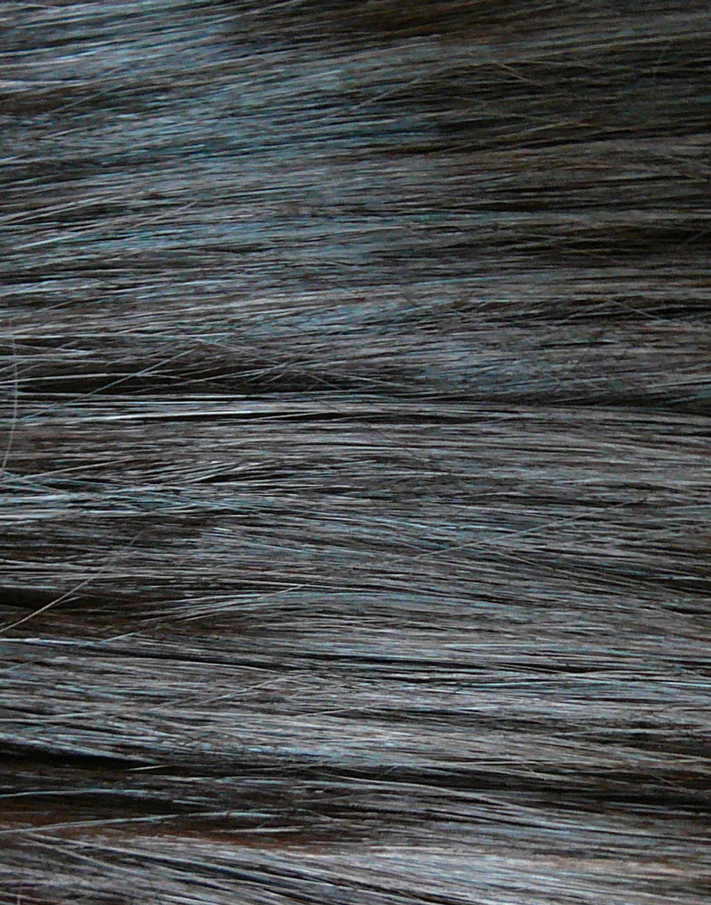 Brown Black Hair Texture Stock by Enchantedgal-Stock