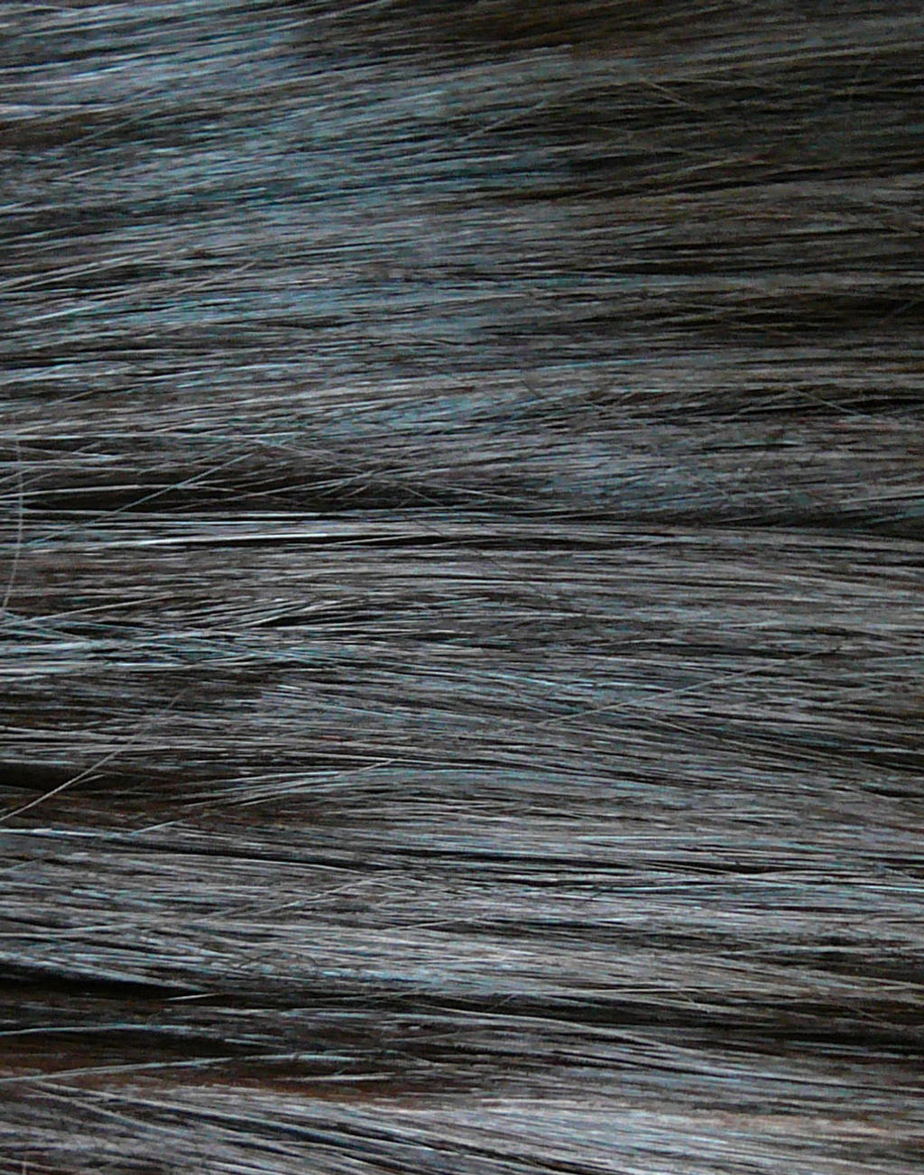 Brown Black Hair Texture Stock