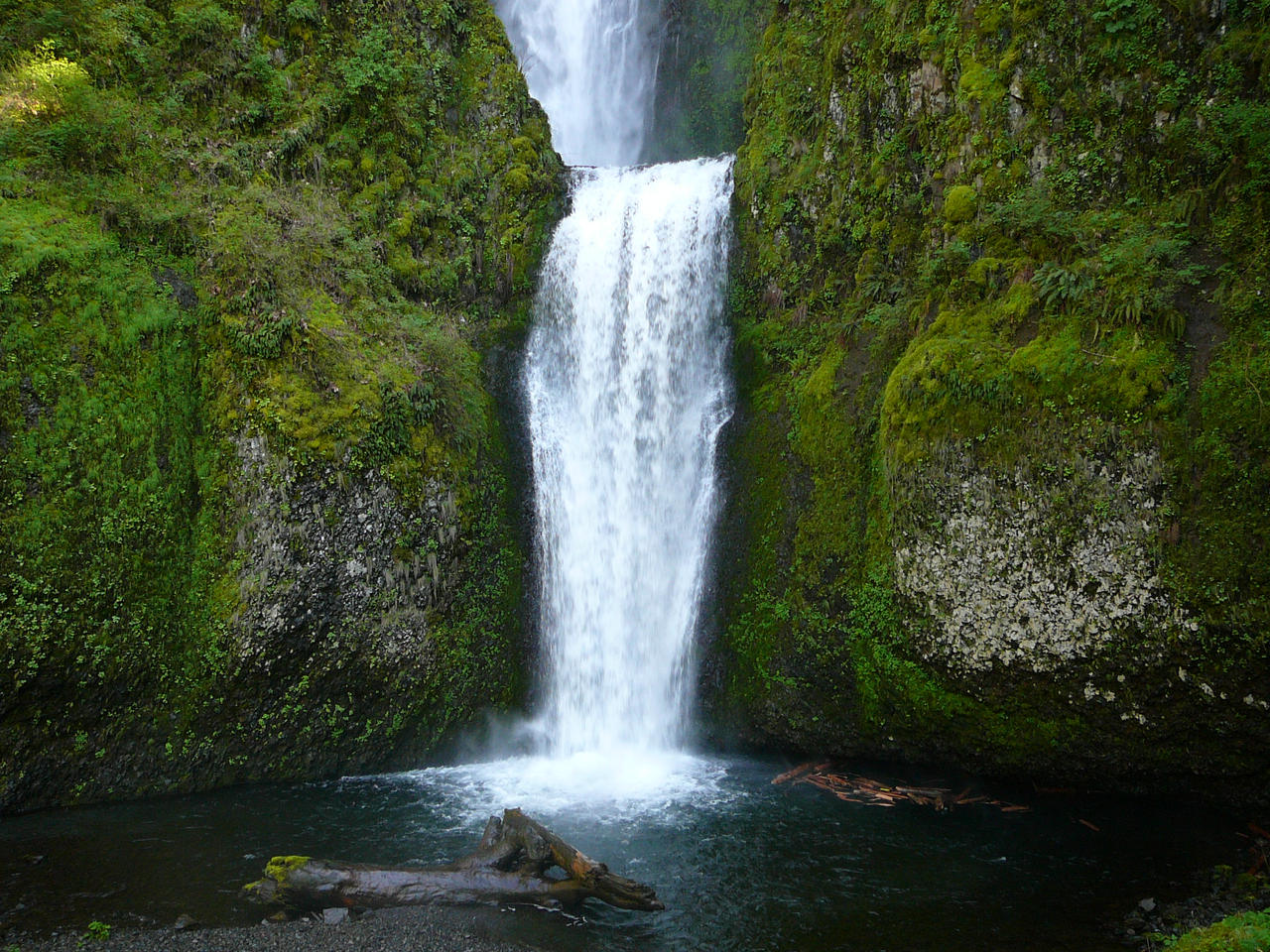 Waterfall Moss Rock Wall Stock