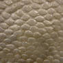 White Shell Fish Mermaid Scale