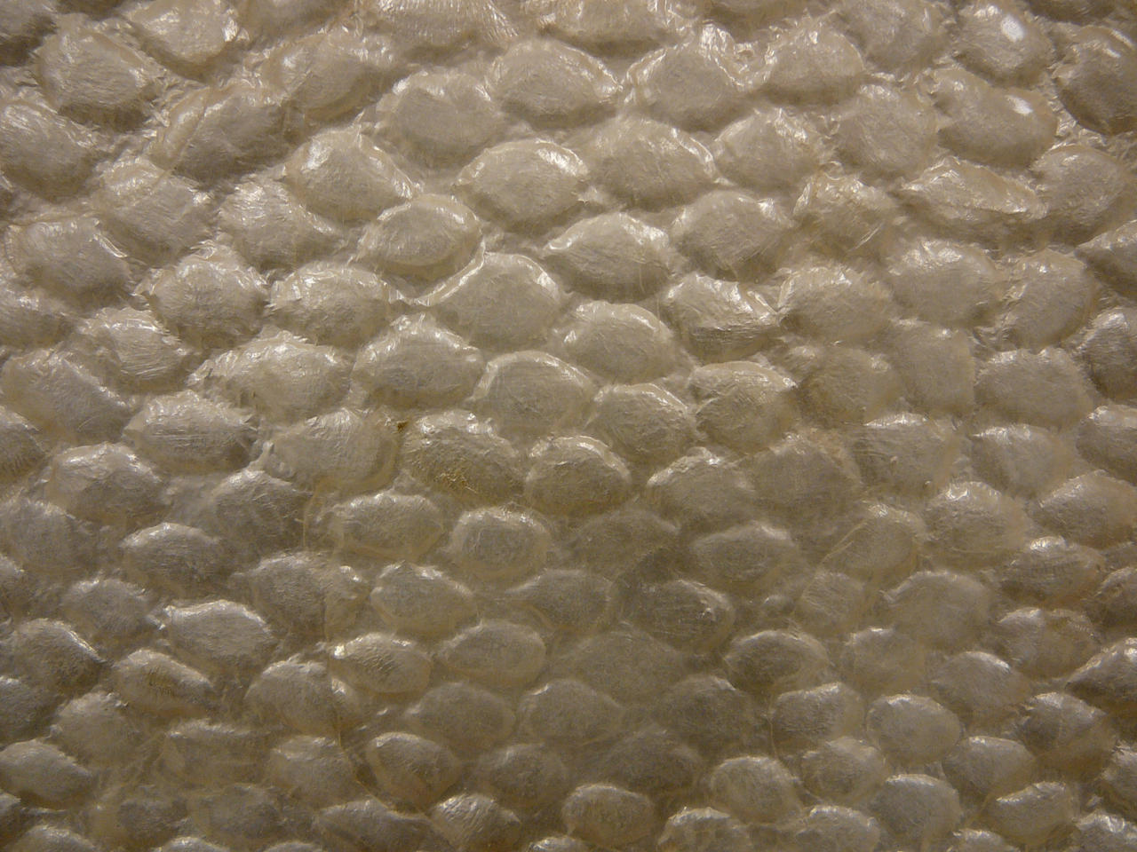White Shell Fish Mermaid Scale