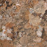 Desert Dirt Rain-Crust Texture