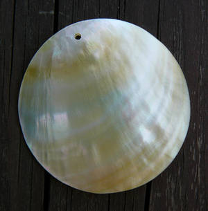 Mother of Pearl Shell Texture