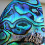 Paua Abalone Stock Texture