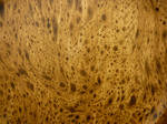 Marbled Wood Texture Stock by Enchantedgal-Stock