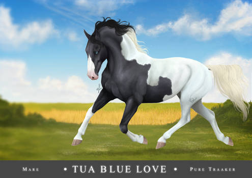 TUA blue love